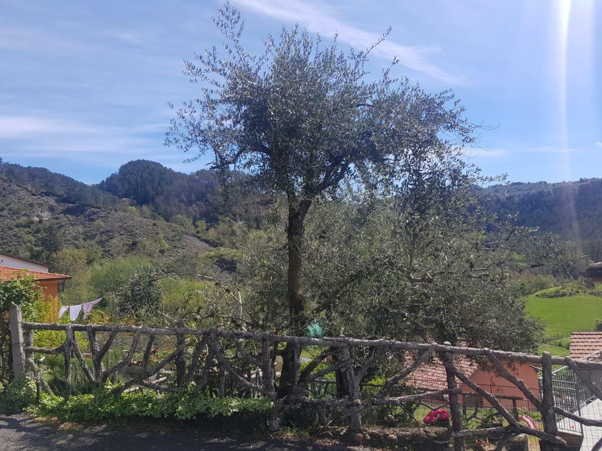 Villa Casa Luigina Vezzola Exterior foto